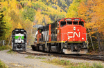 Canadian National Railway GP40-2L(W)