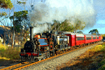 Feilding & Districts Steam Rail Society 0-6-0