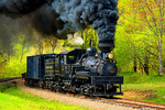 Cass Scenic Railroad Shay