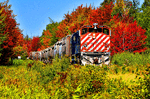 Chemin de fer Sartigan M420W