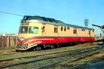 Ferrocarril General Roca FIAT Railcar