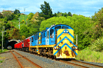 Dunedin Railways DG
