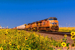 Union Pacific ES44AC