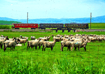 Sacramento Northern Electric MU